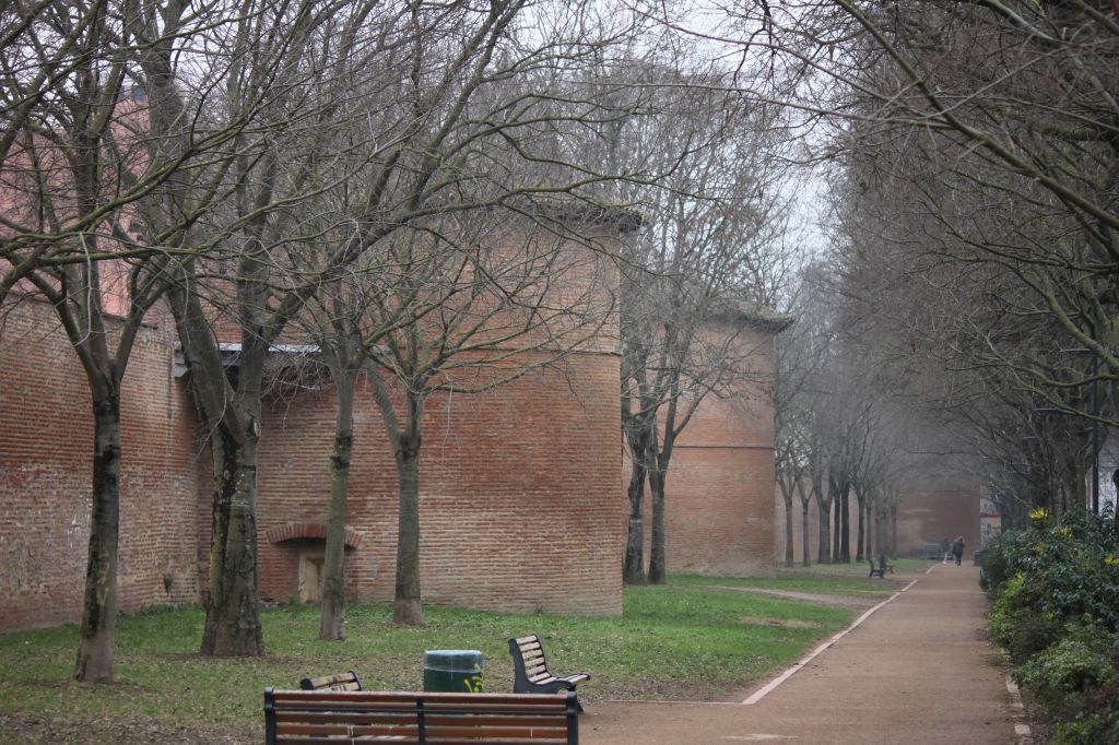 http://www.toulouse-brique.com/photos/facades/muraille-hiver.JPG