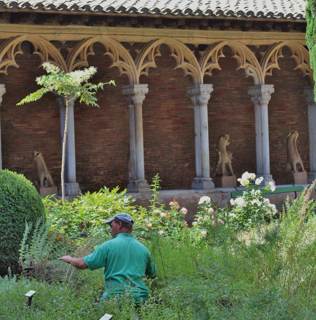 Les Augustins